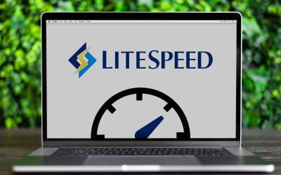 LiteSpeed: melhore o desempenho do seu site WordPress