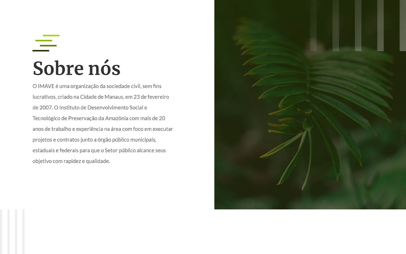 IMAVE