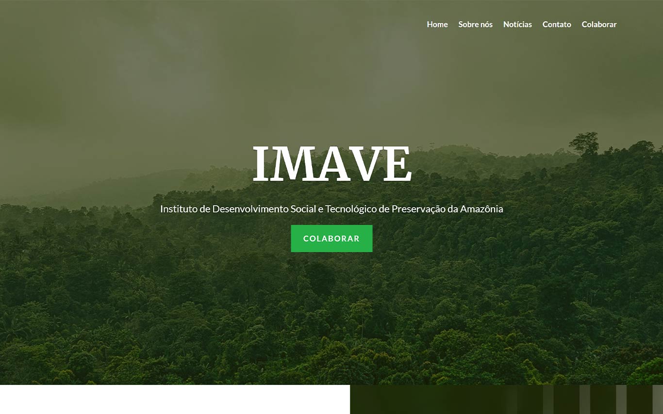 IMAVE