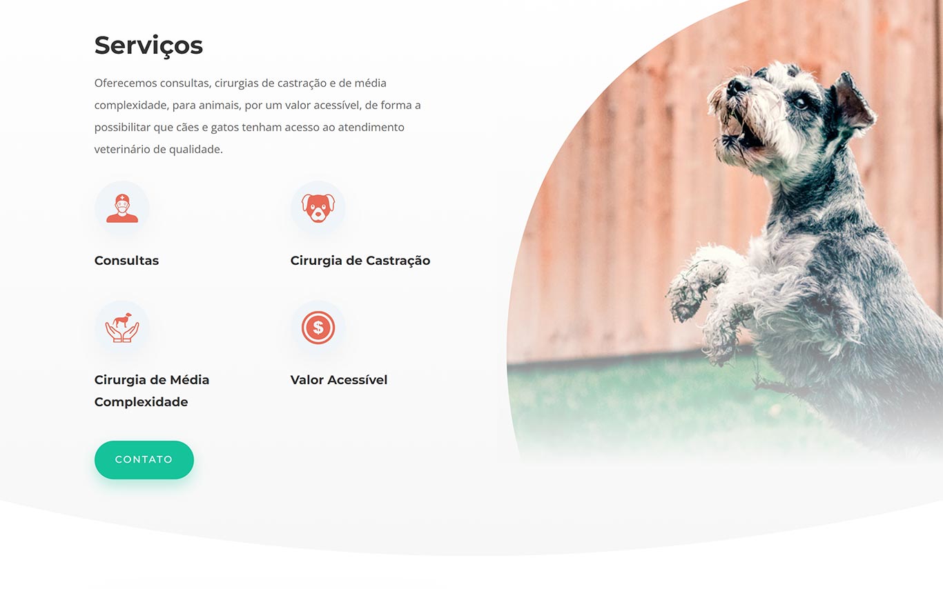 Associação Quatro Patas